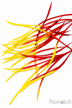 Gans - 10-17 cm - geel-rood